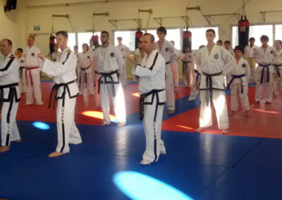 Israel ITF Taekwon-Do Seminars December 2015
