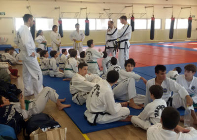 Israel ITF Taekwon-Do Seminars December 2015
