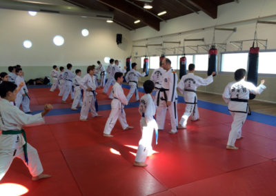Israel ITF Taekwon-Do Seminars December 2015