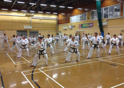 Master Moradoff Instructing Black Belt Patterns