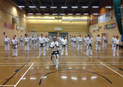 Master Moradoff, 7th Dan, UKTD President, leading the Seminar