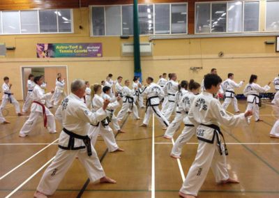 Master Moradoff, 7th Dan, UKTD President, Instructing