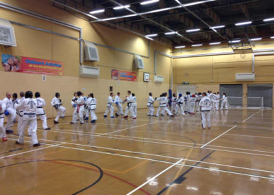 Master Moradoff Instructing Sparring