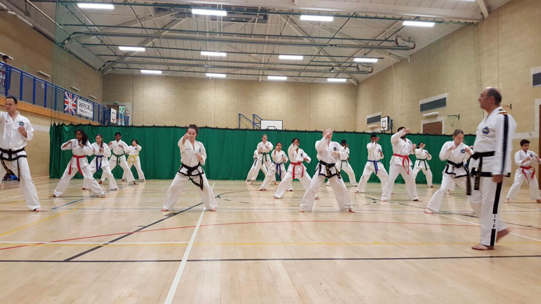 United Kingdom Taekwon-Do Dojangs Masterclass 07th May 2017