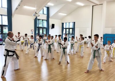 UKTD Taekwon-Do Master Class 14th July 2019