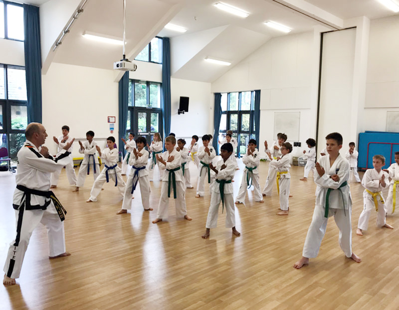 UKTD Taekwon-Do Master Class 14th July 2019