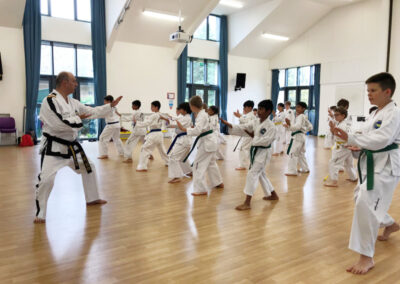 UKTD Taekwon-Do Master Class 14th July 2019