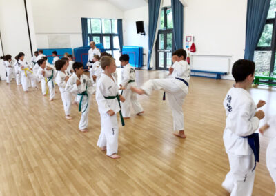 UKTD Taekwon-Do Master Class 14th July 2019