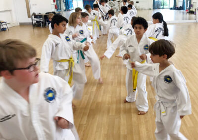 UKTD Taekwon-Do Master Class 14th July 2019