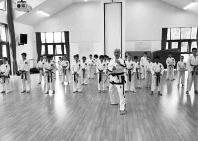 UKTD Taekwon-Do Master Class 14th July 2019