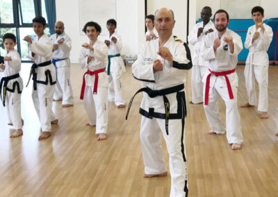 UKTD Taekwon-Do Master Class 14th July 2019